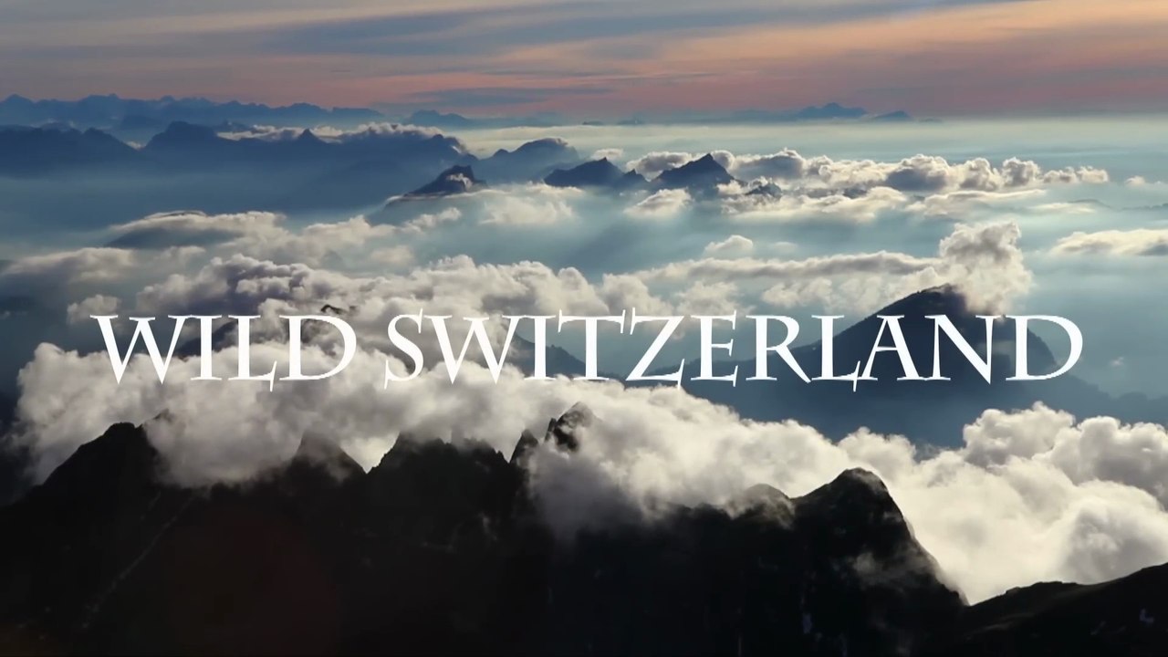 Documental - Suiza salvaje - 👑 "ALPES SUIZOS: El Último Reino de Hielo y Roca | Supervivencia Extrema en la Cima de Europa"
