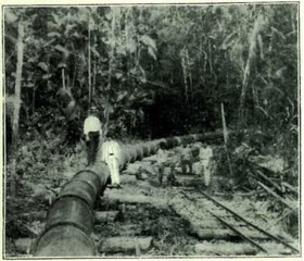 Descobertos vestígios de trilhos centenários no Parque do Utinga, em Belém