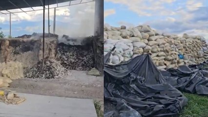 Macabro hallazgo: descubrieron finca donde trituraban e incineraban huesos para fabricar insumos en Huila