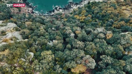 Yerli füze TAYFUN'dan hedefe tam isabet