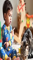 Little boy teaching a cat a lesson