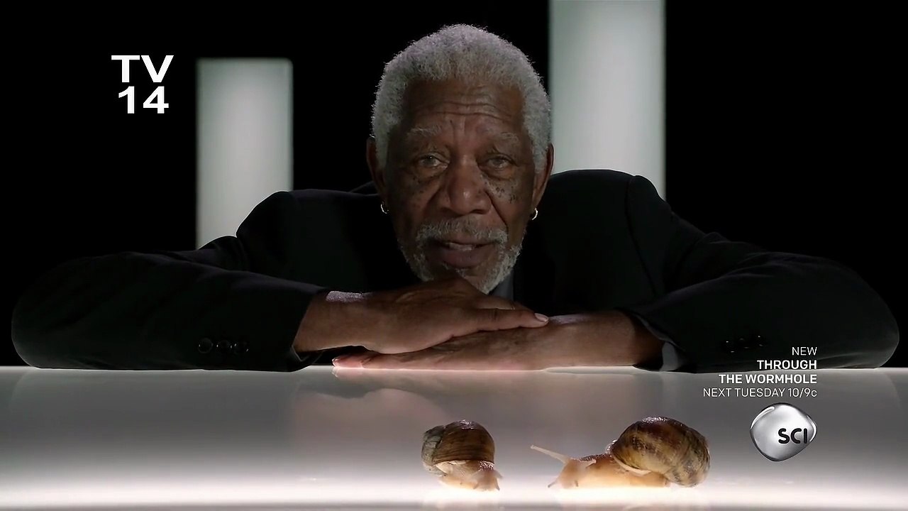 Through The Wormhole Season 7 Episode 3 Are There More Than Two Sexes? | Morgan Freeman