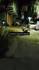 "When humanity dies, animals suffer silently 💔 Delhi needs justice, not excuses! 🐶 #SaveTheVoiceless"