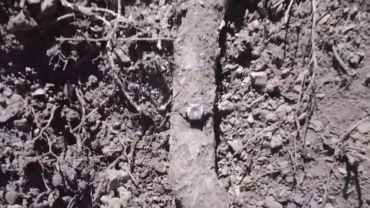 My Metal Detector Led Me to a Ring Swallowed by Nature!