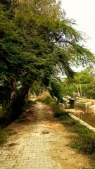 Explore The Beauty of Nature with Amit