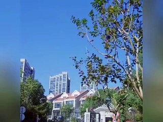 CEOs Son Calls Poor Girl Mom at First Sight, CEO Instantly Investigates Her Identity!Turns out...