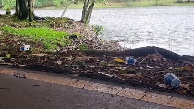 Lago Municipal de Cascavel fica tomado por copos descartados após prova de corrida de rua