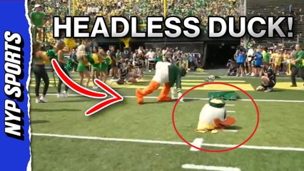 Oregon Duck's mascot head falls off before season opener vs Montana State
