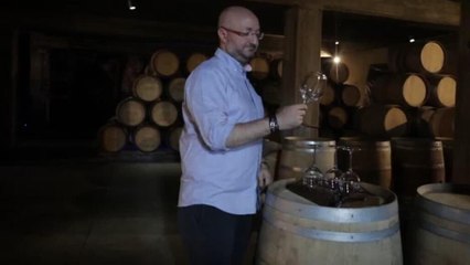 Viñedos en Líbano hacen frente a las consecuencias de los ataques israelíes un año después