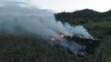 Brasil: el uso del fuego para el pastoreo pone en grave riesgo a la Amazonía
