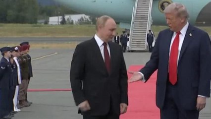 Trump apuesta por la diplomacia: los diálogos sobre Ucrania con Putin y Zelenski