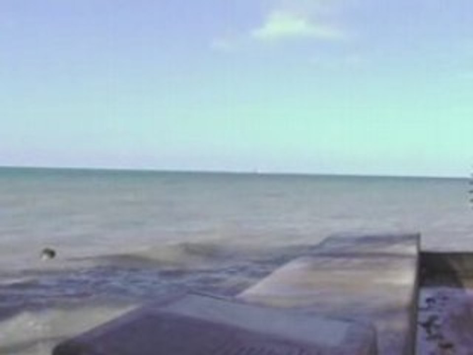 Miami NY 006