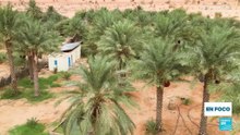 En Mauritania, los oasis amenazados por el calentamiento global