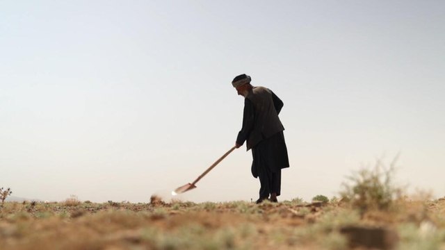 Afganistán sufre la peor sequía en 30 años