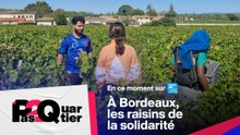 À Bordeaux, les raisins de la solidarité