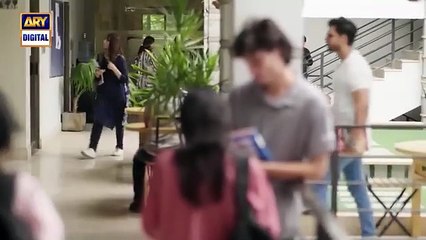 Biryani Episode 22 - Promo - Tomorrow at 8 -00 PM - ARY Digital