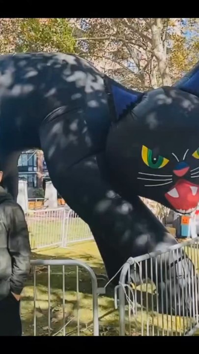 Nelson Wang, a representative figure of Chinese Americans, will celebrate his first Halloween on Roosevelt Island. The video was shot in October 2025.