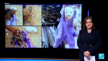 Gaza : Israël a-t-il laissé des poupées et des conserves piégées à l'explosif dans l'enclave ?