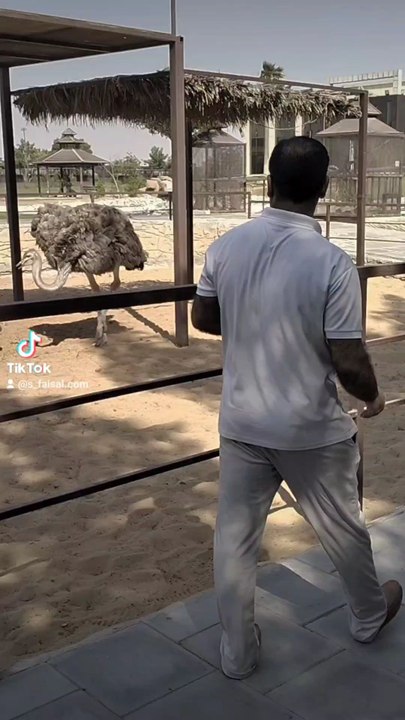 umm ul.Quwai. wilf Life park 🏞️ and zoo