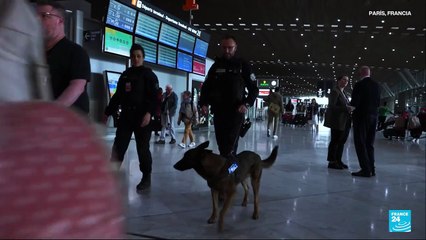 Francia: detenidos dos de los presuntos ladrones del Museo del Louvre