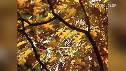 Georgeta Anghel - Uita-te, lume la mine (Hora satului - arhiva TVR)