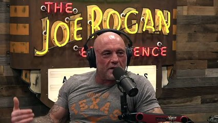 The Political Theater Surrounding the Epstein Files - JRE Clips