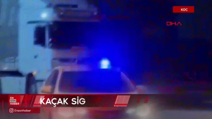 Kocaeli'de bir tırda 49 bin 750 paket kaçak sigara ele geçirildi