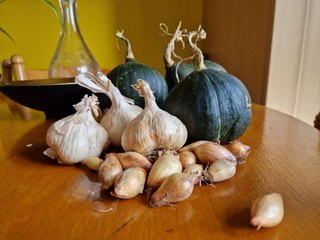 Halloween planting of garlic and onions for summer harvest - Gardening with Brendan