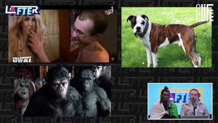 Virgin Dog Revolution, un manga totalement WTF