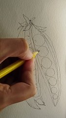 Watercolours peace step by step, water colours vegetable, watercolour painting