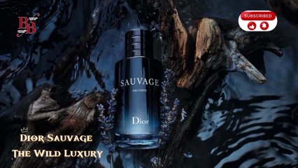 Top 10 Luxury Perfumes for Men in 2025 _ Long Lasting & Timeless Scents