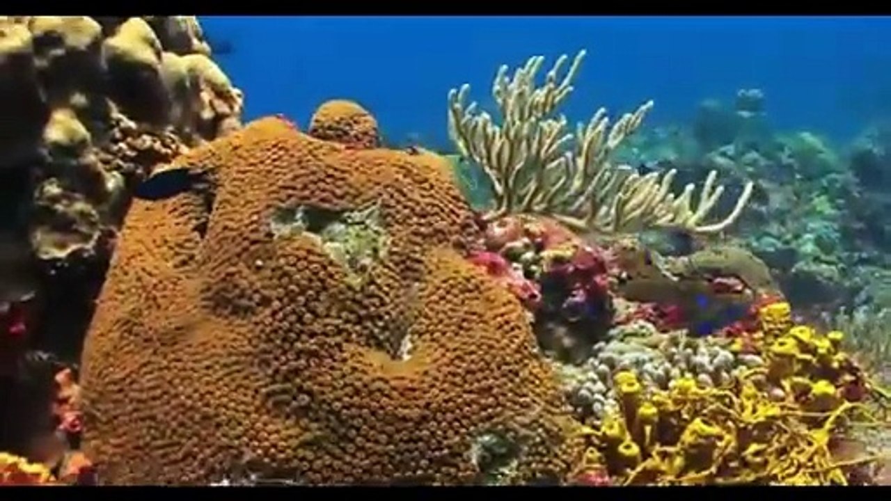 INSIDE THE OCEAN