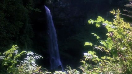 just before dawn / 1981 movie