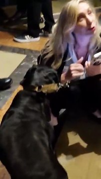 El pedido de ayuda de Karina Milei a un perro del operativo policial antes de hablar con la prensa