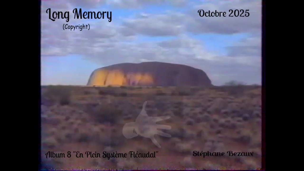 LONG MERMORY