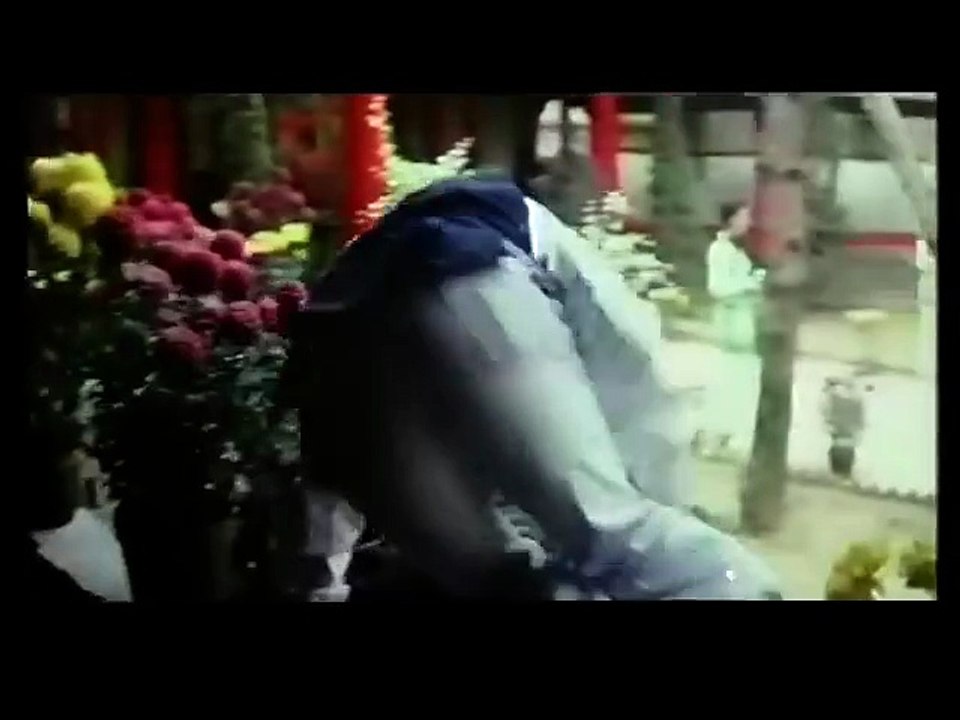 Buddha's Palm and Dragon Fist (1980) // Classic Kung Fu Movies