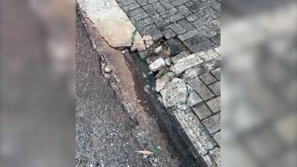 Morador denuncia esgoto a céu aberto em via pública no Bairro Country