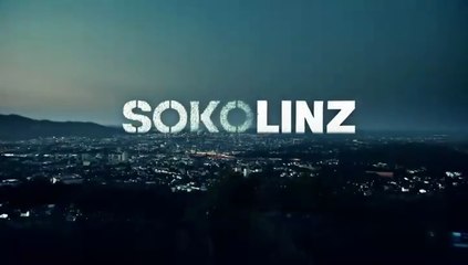 SOKO Linz -04- Schöpfung 2.0