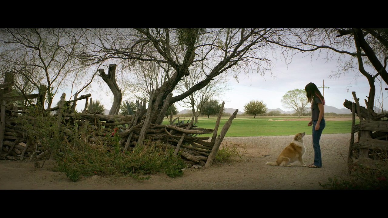 The Crossroads – Love Takes Time | movie | 2024 | Official Trailer