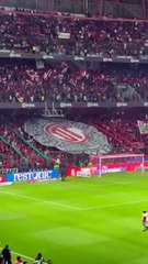 Afición de Toluca lanza tifo recibiendo el Toluca vs Pachuca
