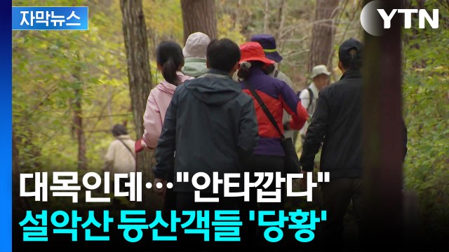 [자막뉴스] 장사도 안돼 상인들 울상...이상현상에 직격탄 맞은 설악산 / YTN