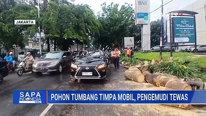 Pohon Tumpang Timpa Mobil, Pengendara Tewas di Pondok Indah | SAPA PAGI