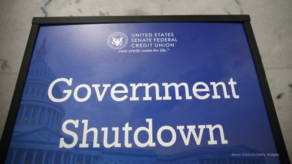 Senate rejects a proposal to end government shutdowns forever