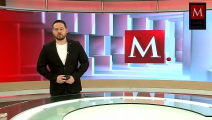 En Yucatán, la plaga del gusano barrenador ya afecta a 86 municipios, afectando a toros y caballos