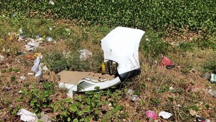 Acidente Fatal na BR-232: Motociclista Priscila Rodrigues Não Resiste aos Ferimentos Após Colisão com Carro