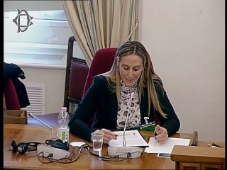 Roma - Indagine conoscitiva Artico - Audizione Emanuela Somalvico - SOCINT (29.10.25)