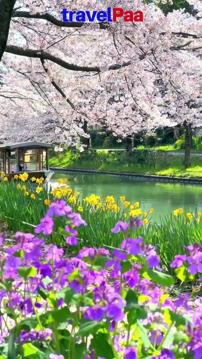 Your 2025 Travel Plan Starts Here! | Top Asian Destinations You Can’t Miss | travelPaa