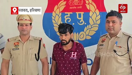 पलवल में लाखों रुपये की अवैध शराब बरामद, पंजाब से बिहार ले जा रहा आरोपी चालक गिरफ्तार