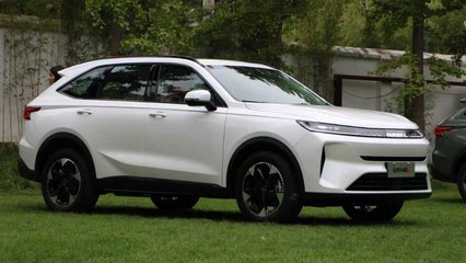 2026 GWM Haval H6L im Detail – Technik, Design & Marktstart