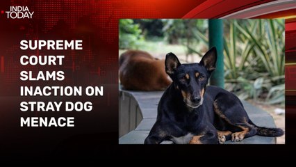 Top Court summons Chief Secretaries of all states; CJI BR Gavai recommends his successor